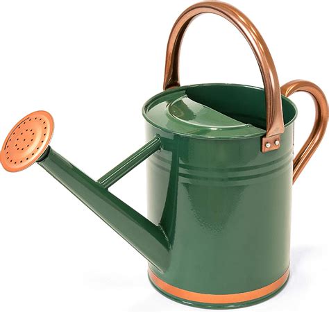 25 Gallon Watering Can for Outdoor Plants, Large Garden Watering Can with Long Spout, Lid and Detachable Sprinkler Head, Heavy Duty Plastic Watering Pot for Indoor Houseplants and Garden Flower - 9L. . Amazon watering can